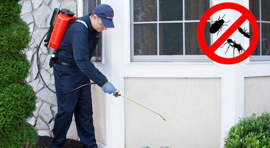 Kiğı Haşere İlaçlama böcek ilaçlama ve haşere kontrolü — ilaclama-tr.com